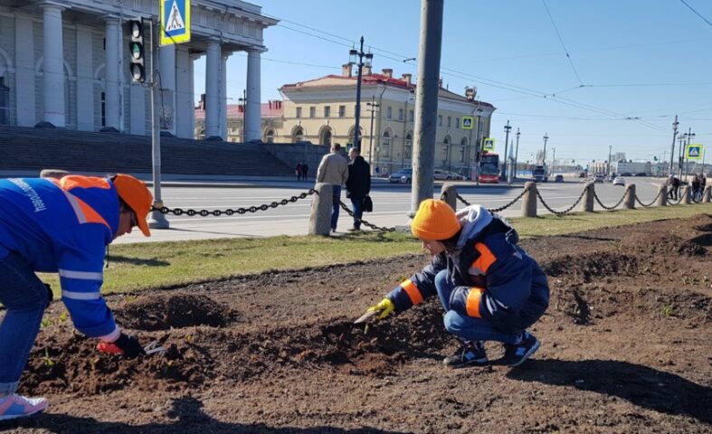 благоустройство петербурга