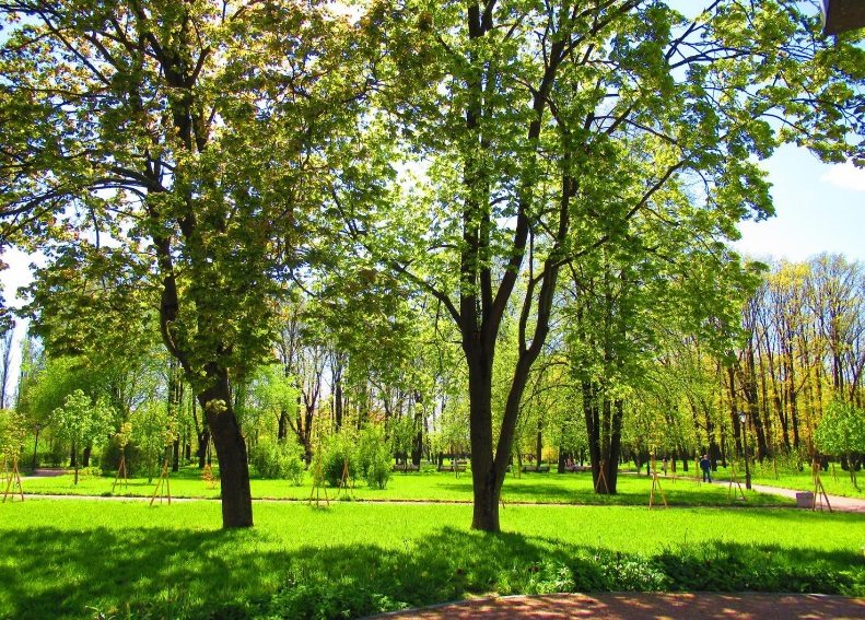митрополичий сад петербург фото