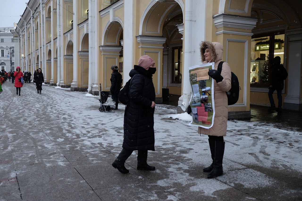 Как дела в Питере.