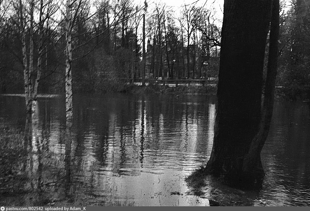 черная речка петербург старое фото
