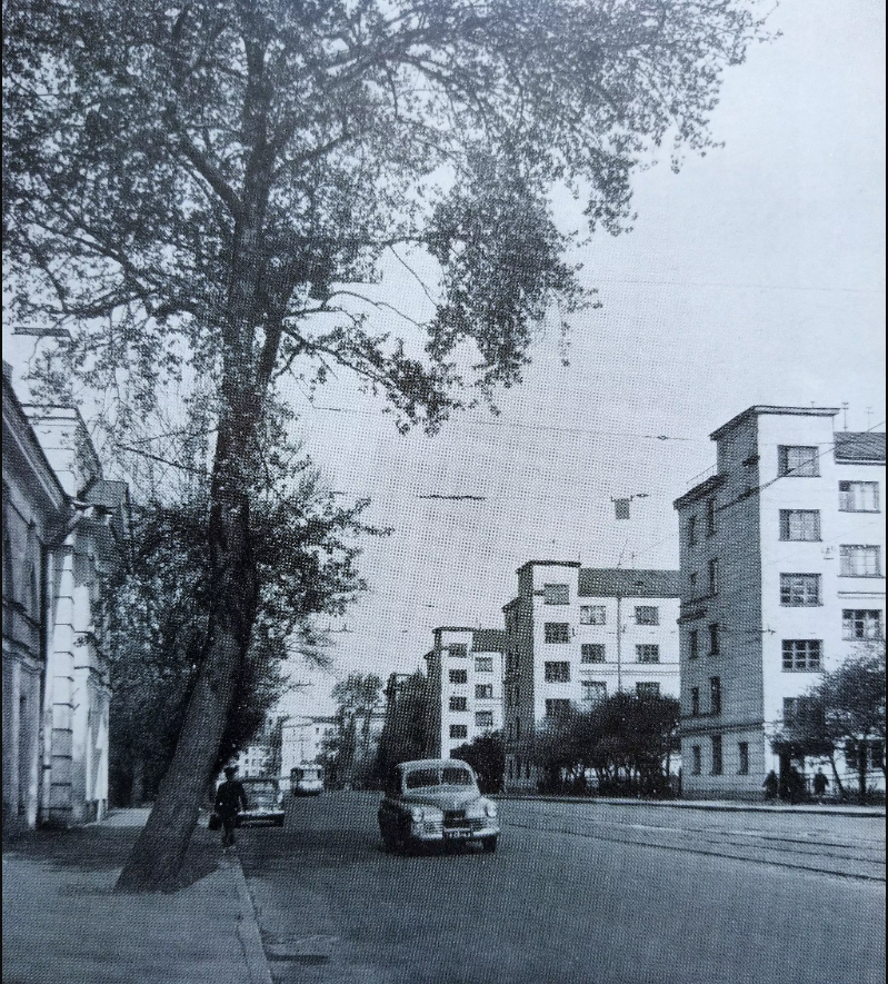 боткинская улица ленинград старое фото
