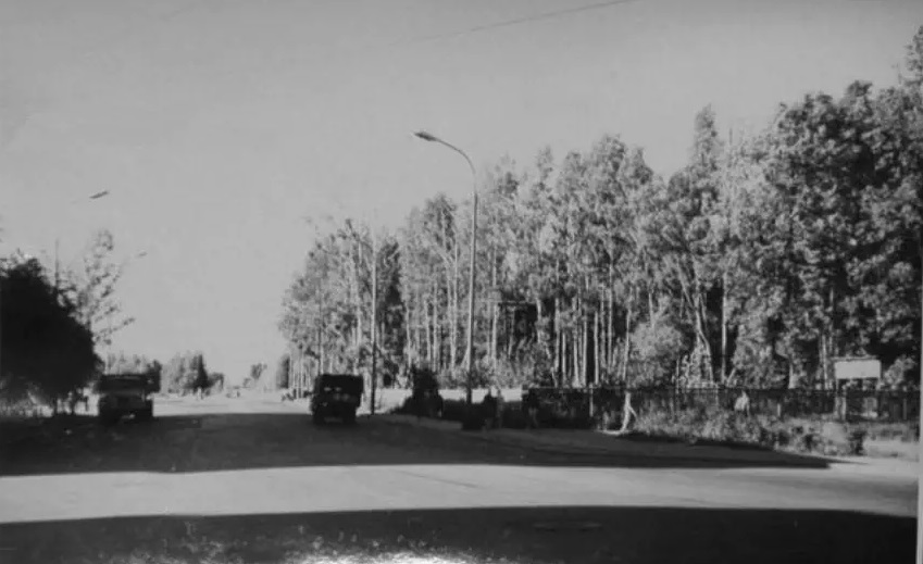 тихорецкий проспект петербург старое фото