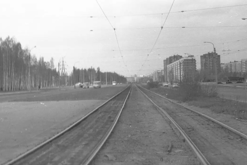 тихорецкий проспект петербург старое фото