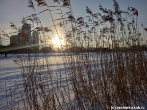 парк интернационалистов петербург фото