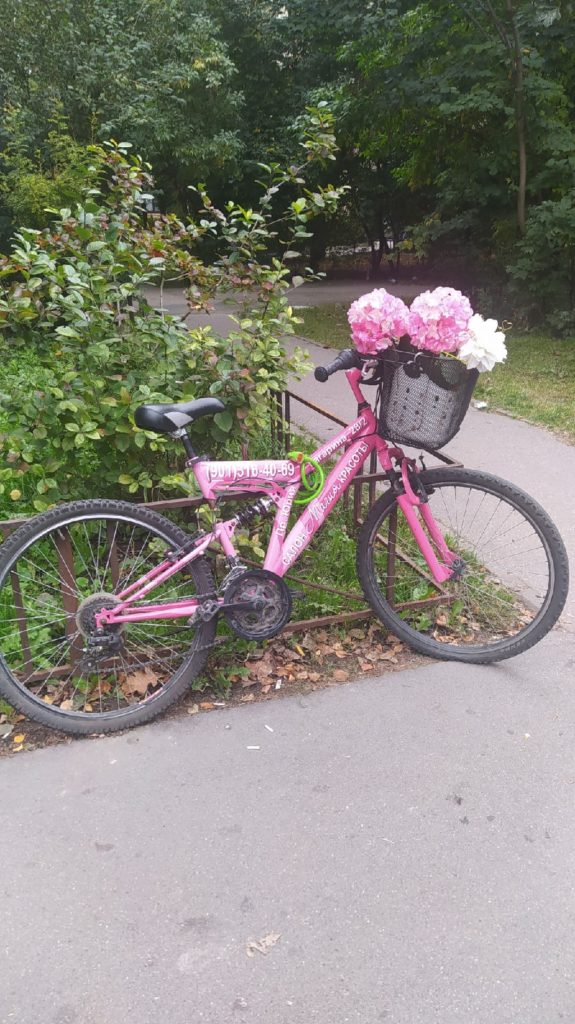 розовый велосипед петербург фото