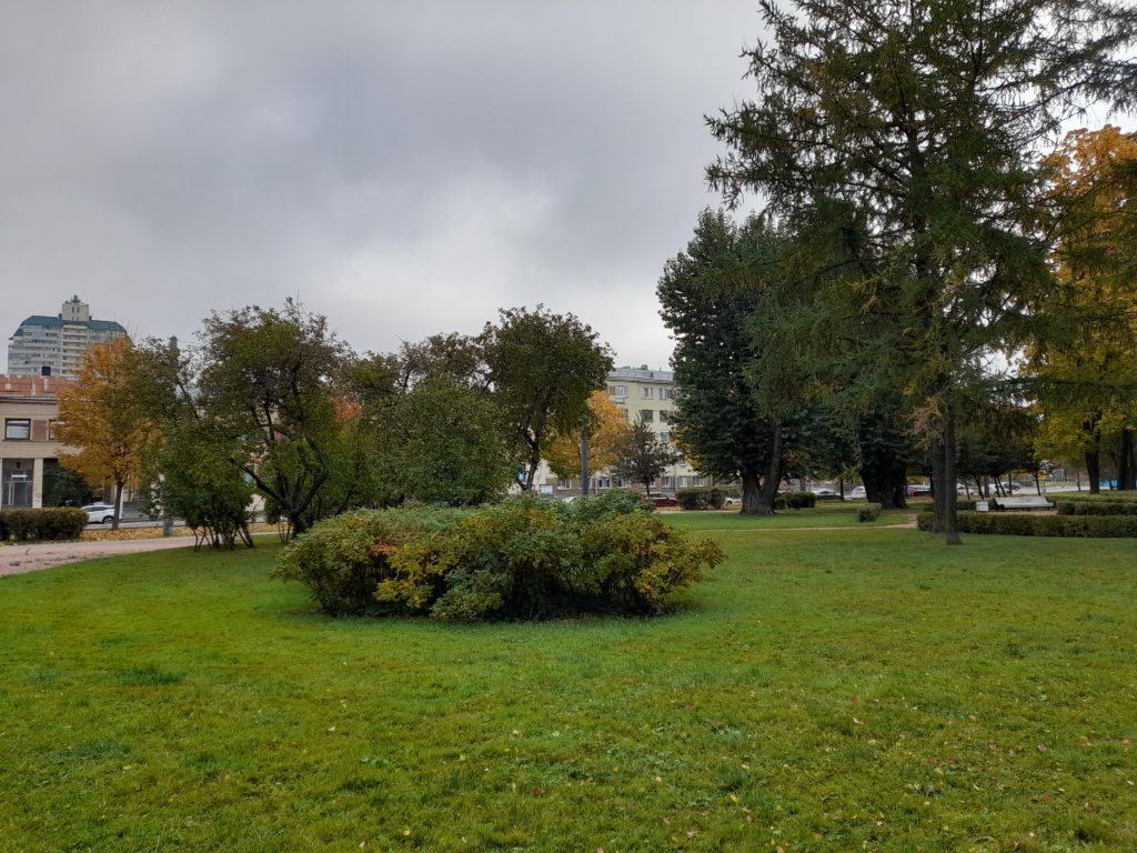 литовский сад петербург фото