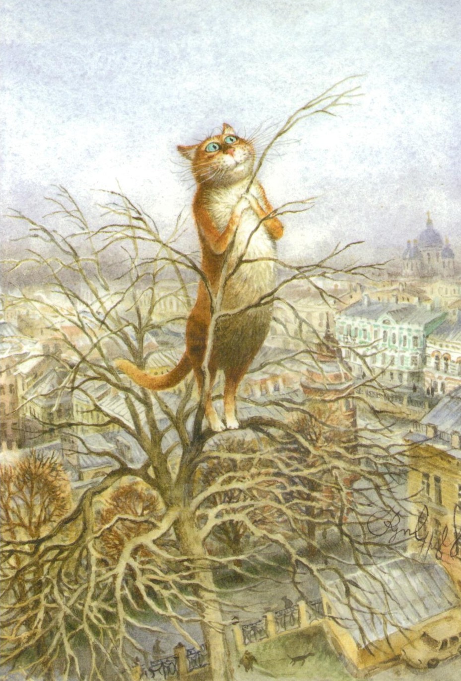 коты санкт петербурга